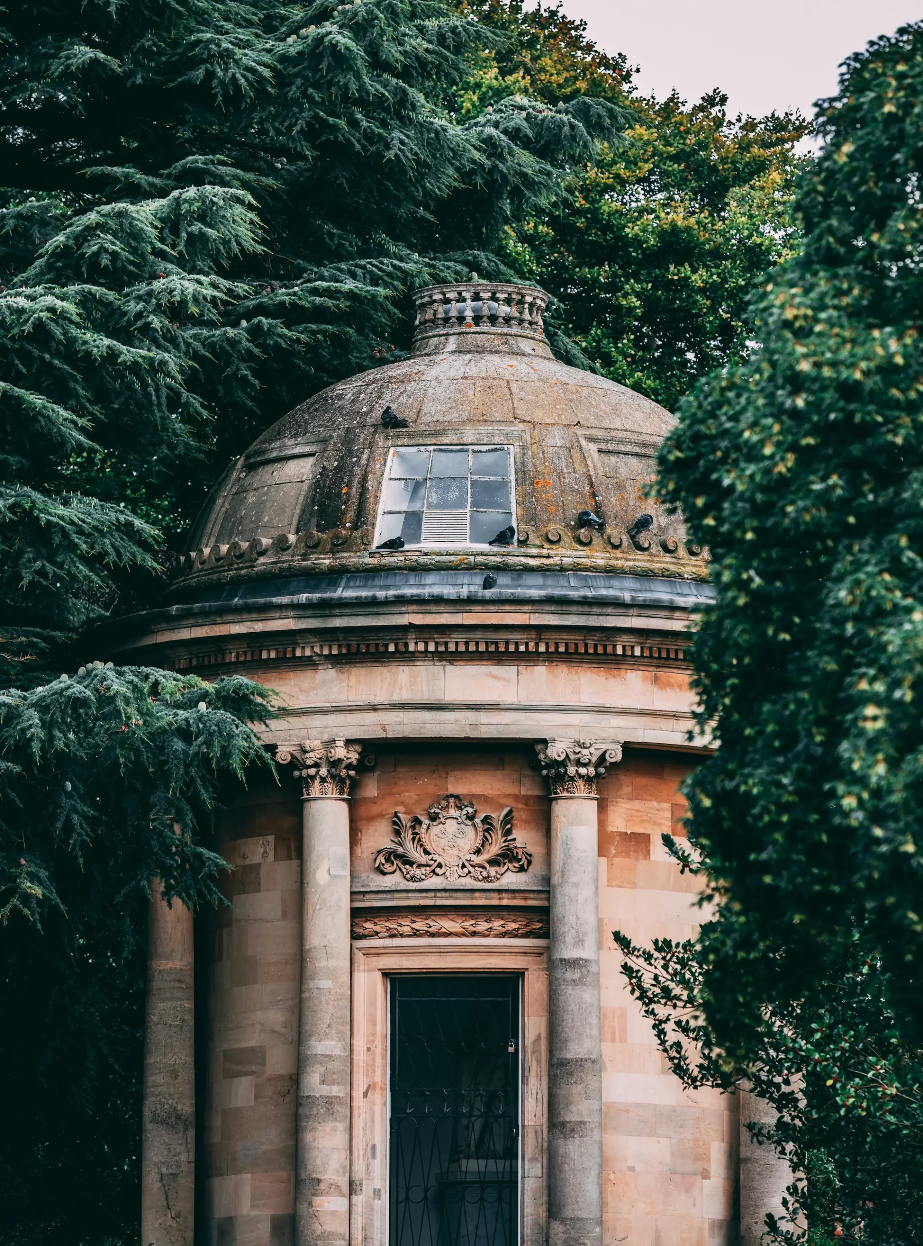 image126